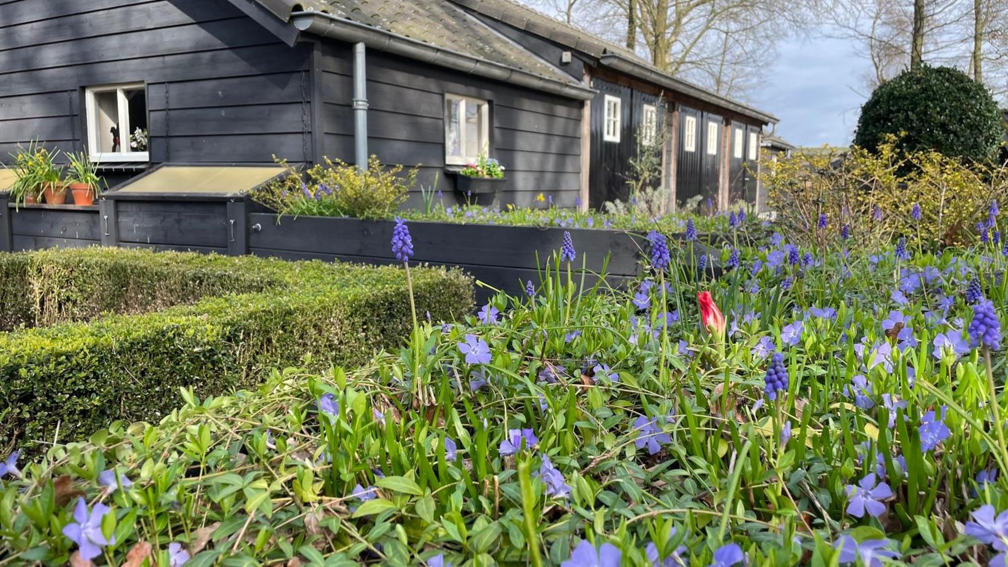 Hoeve Bij Vosselen Asten Kültér fotó