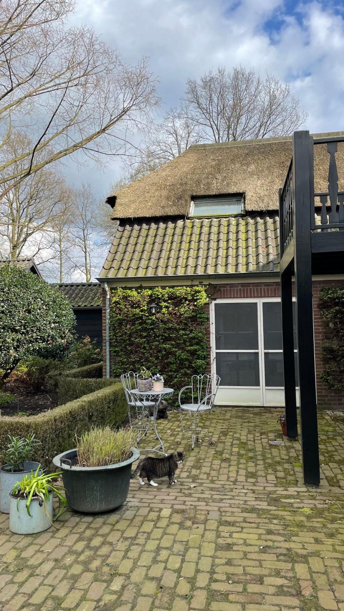 Hoeve Bij Vosselen Asten Kültér fotó